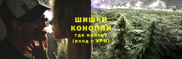 мяу мяу мука Абаза