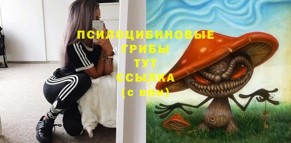 spice Абинск