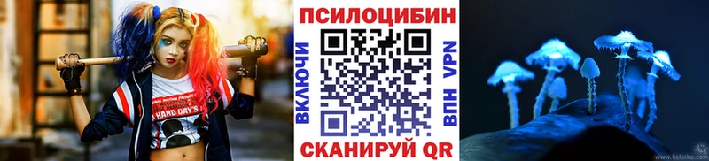 Псилоцибиновые грибы мицелий  Шимановск 