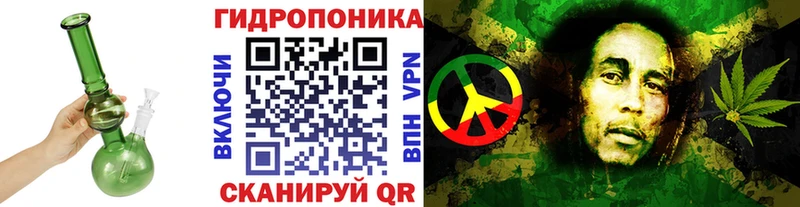 купить наркотик  Шимановск  mega ССЫЛКА  Бошки Шишки Amnesia 